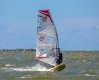 ������ ��� Gatodelmar
