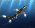 ������ ��� whitetip