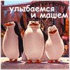 ������ ��� agre55or
