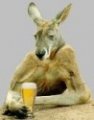 ������ ��� Macropusrufus