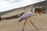 ������� �� ����������� ��� ����������
��������: DSC00423.jpg
����������: 960
������:	46.2 ��
ID:	2437