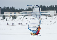 Wissa2013